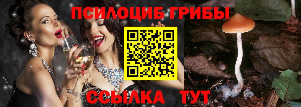 Псилоцибиновые грибы прущие грибы Сибай